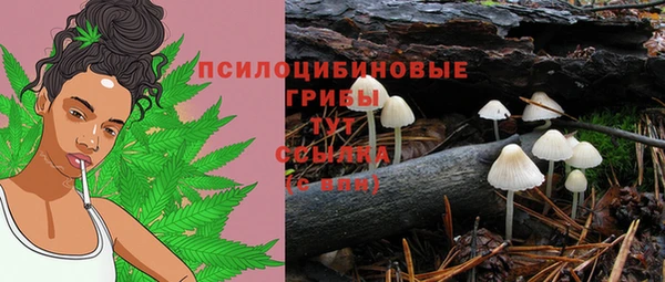 МДПВ Абдулино