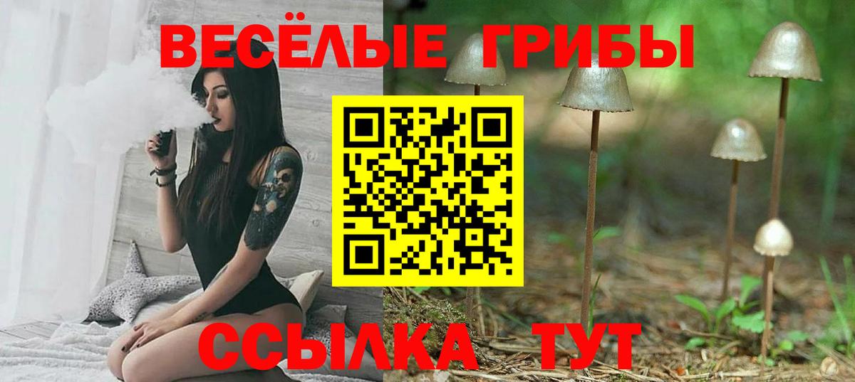 как найти   Вход с VPN  Сафоново  Псилоцибиновые грибы ЛСД 